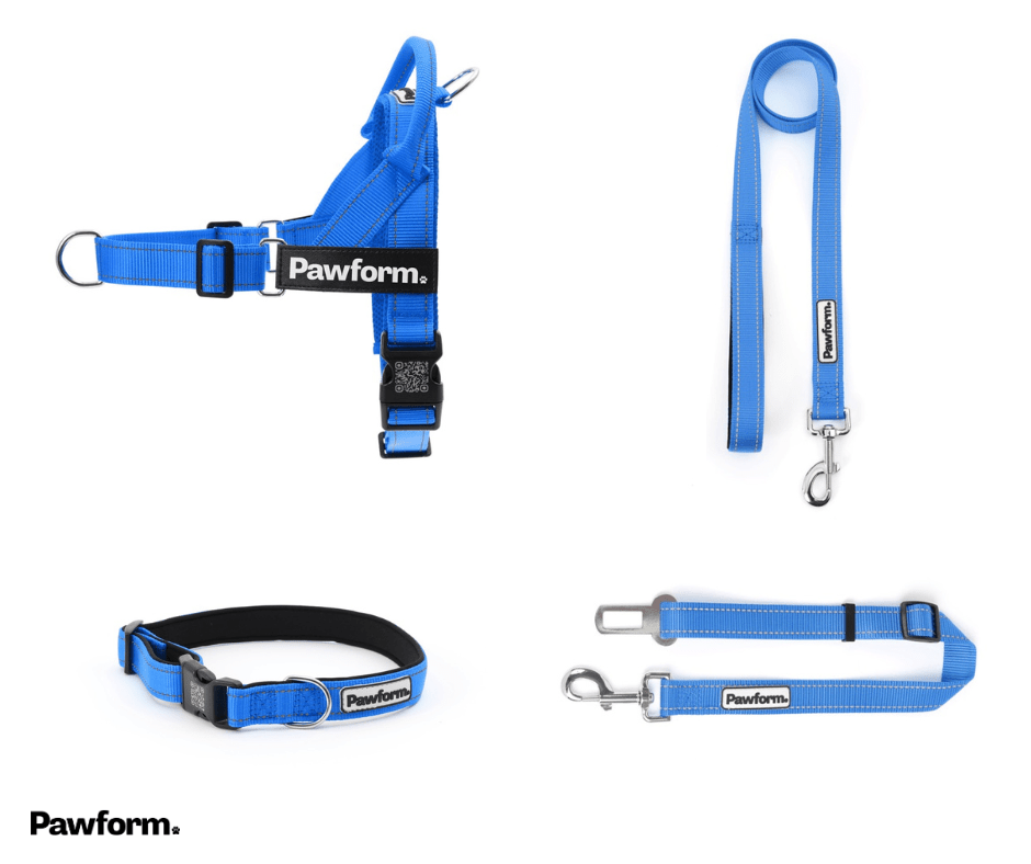 Pawform Blue Harness, lead, collar and seatbelt.