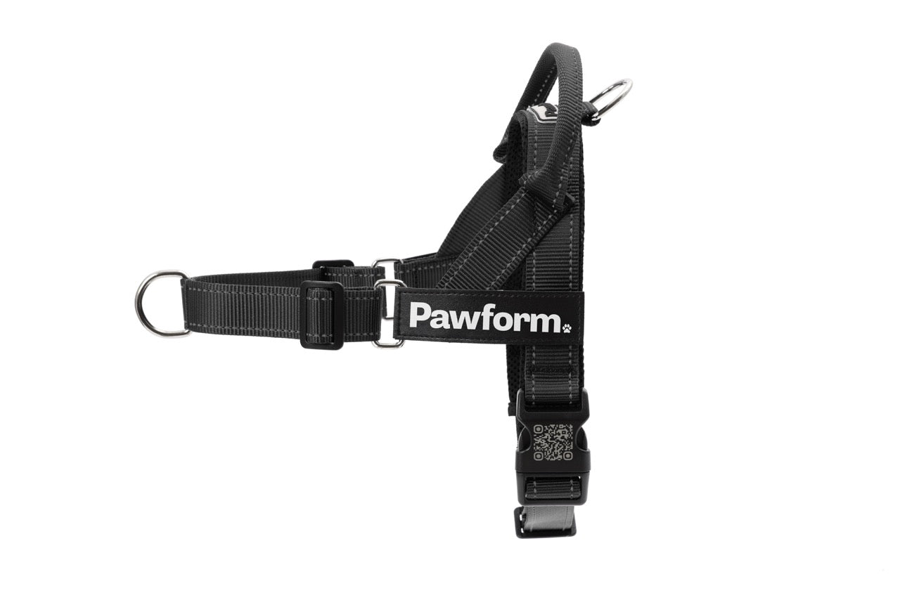Black Pawform Personalised No-pull Harness with QR code
