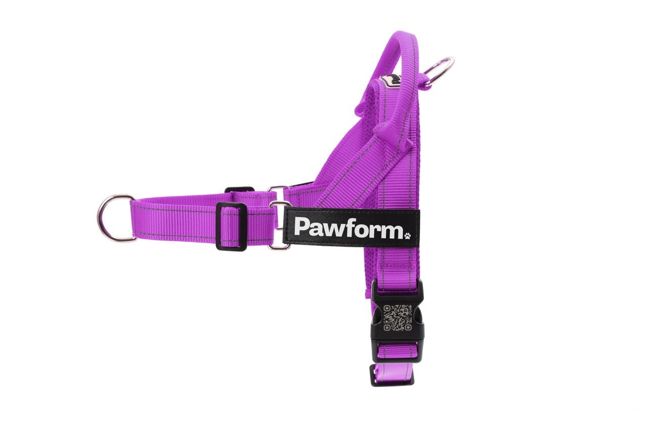 Purple Pawform Personalised No-pull Harness with QR code