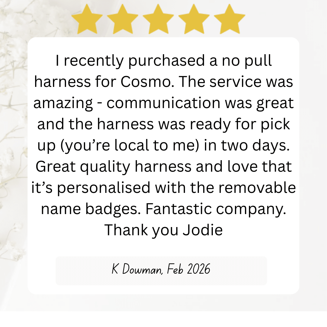 Signature No - Pull Dog Harness (Personalised) - Pawform