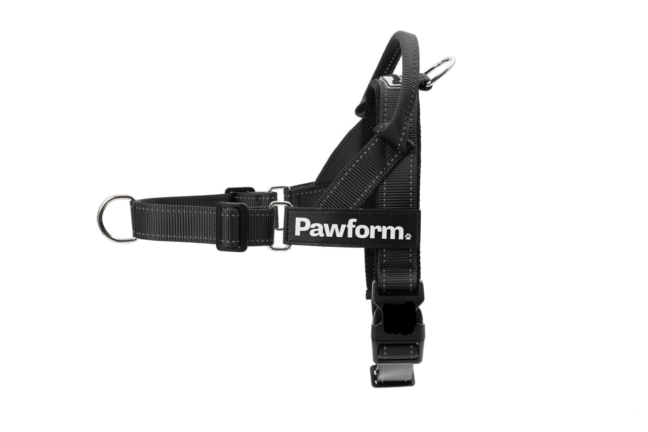 Classic - 'The Walker" Dog Harness & Lead Set