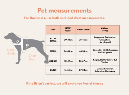 "The Walker" Dog Harness & Lead Set | Pawform - Pawform