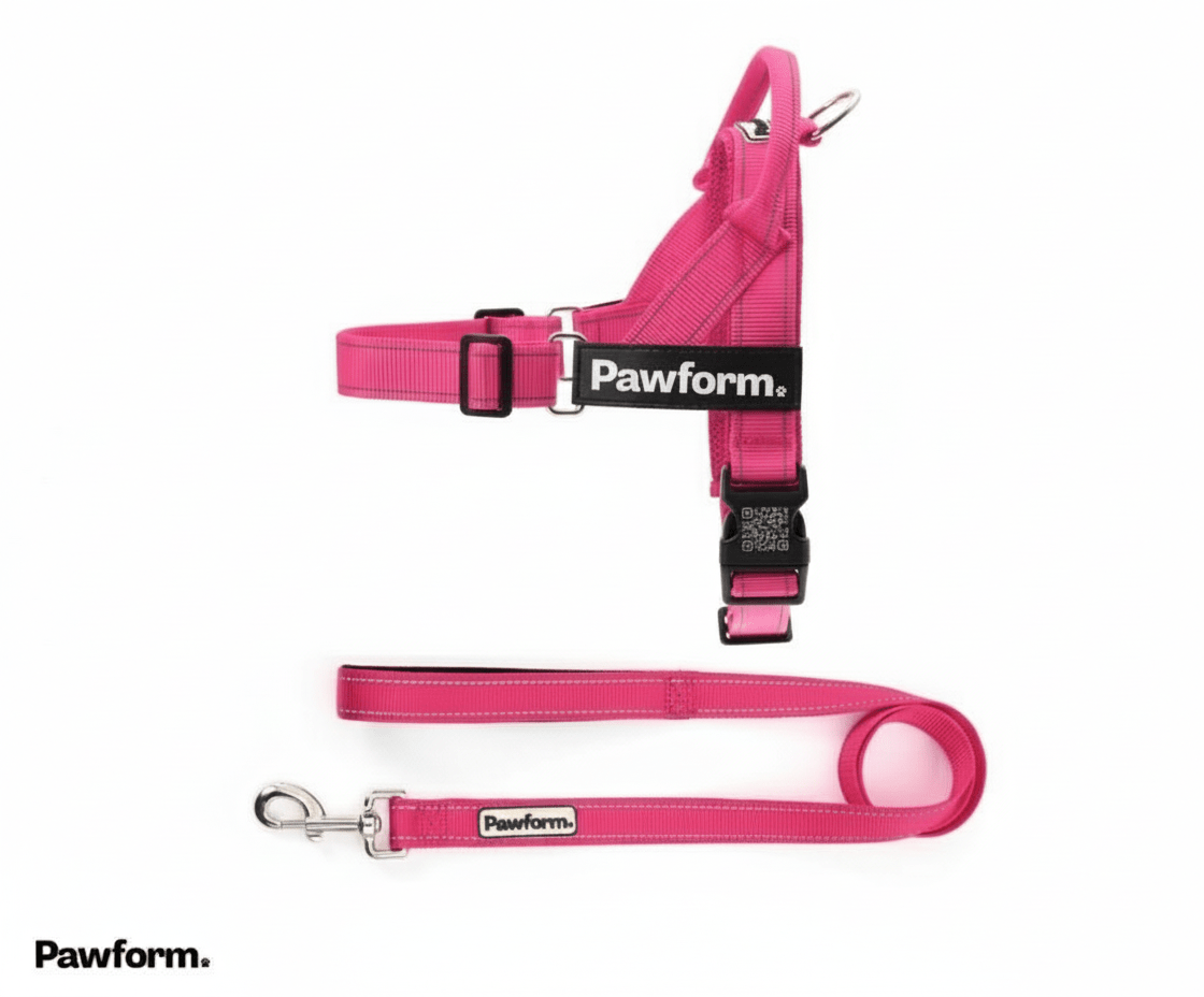 "The Walker" Dog Harness & Lead Set | Pawform - Pawform