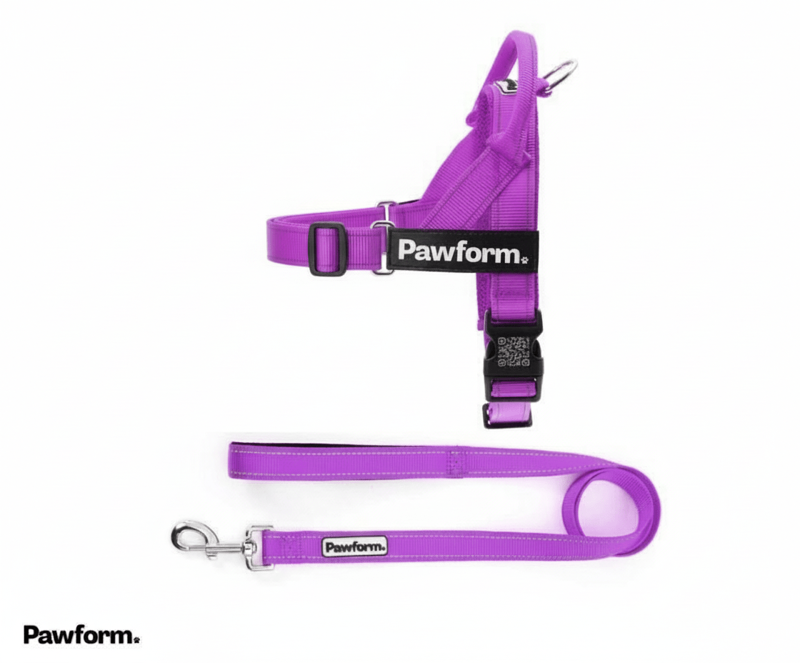 "The Walker" Dog Harness & Lead Set | Pawform - Pawform