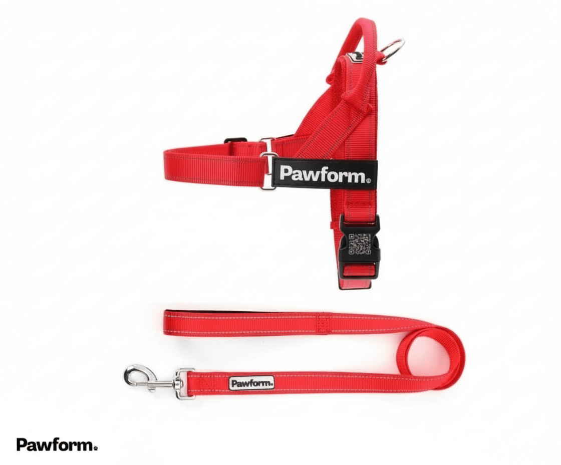 "The Walker" Dog Harness & Lead Set | Pawform - Pawform